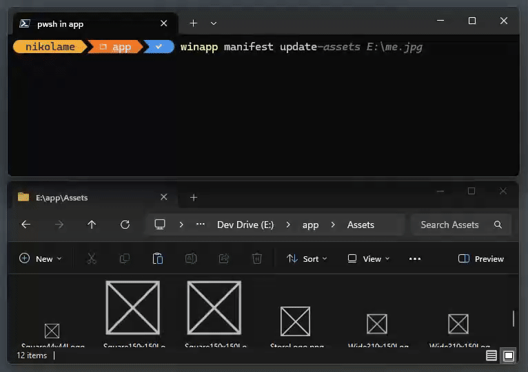 Video/gif of senopp manifest-updates-assets command to update existing assets from image.