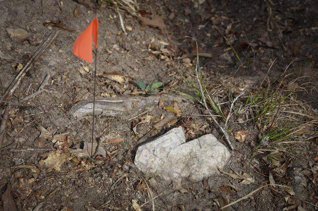 Muscogee County resident Debbie Jackson says she believes this is one of several unmarked graves on her property, pictured March 9, 2026. Jackson lives near the proposed site for a hyperscale data center.