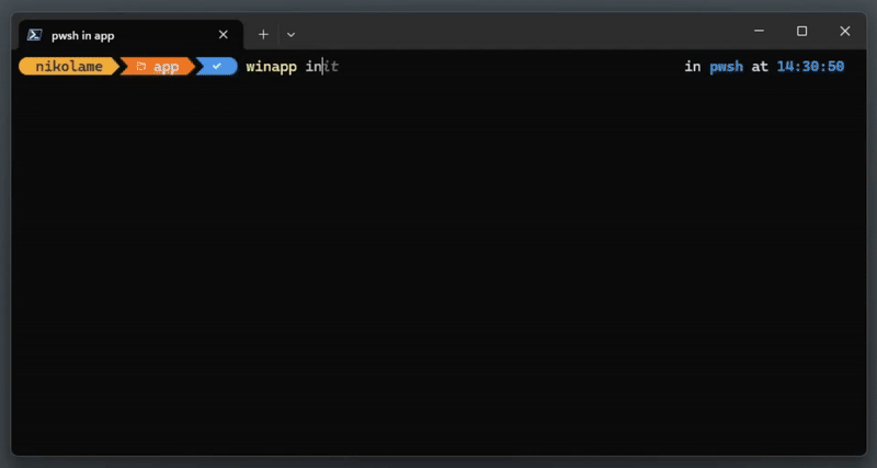 Video/gif of the winapp init command running in a folder, showing appearance, properties, certificates and C++ parameters.